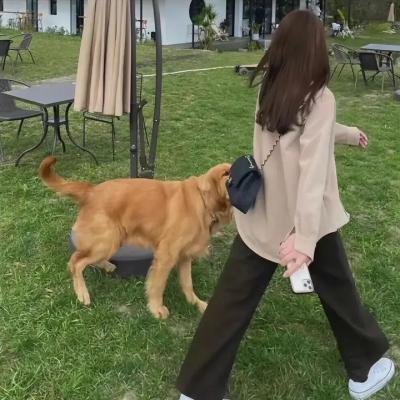 家族之苦3
